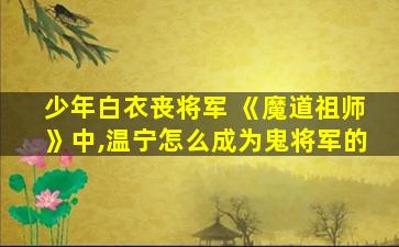 少年白衣丧将军 《魔道祖师》中,温宁怎么成为鬼将军的
